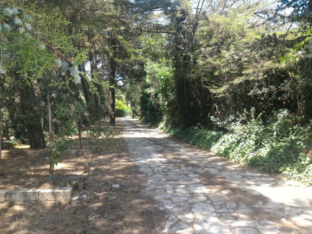 Masseria La Fiorita Matera Kültér fotó